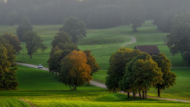 Landschaft mit Wiesen, Bäumen und Wald