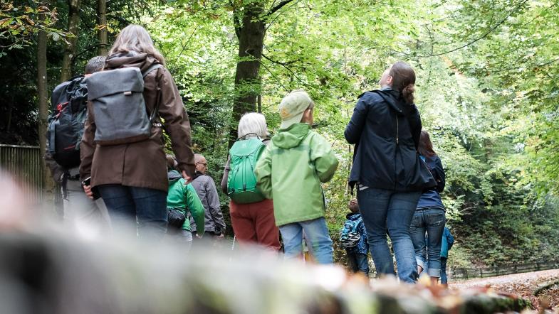 Eine Gruppe Menschen geht durch den Wald