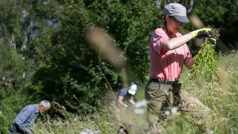 Freiwillige beim Natureinsatz