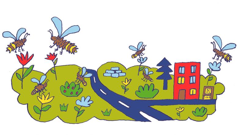 Wildbienenbummel
