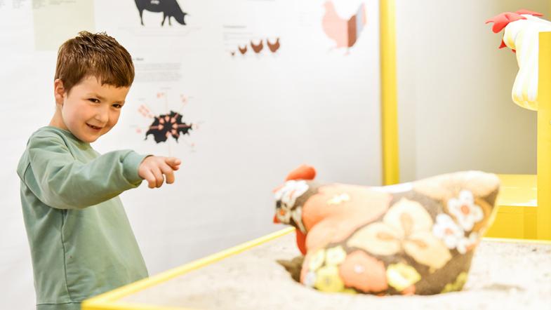 Kind in der Ausstellung zum Thema Huhn im Museum Solothurn