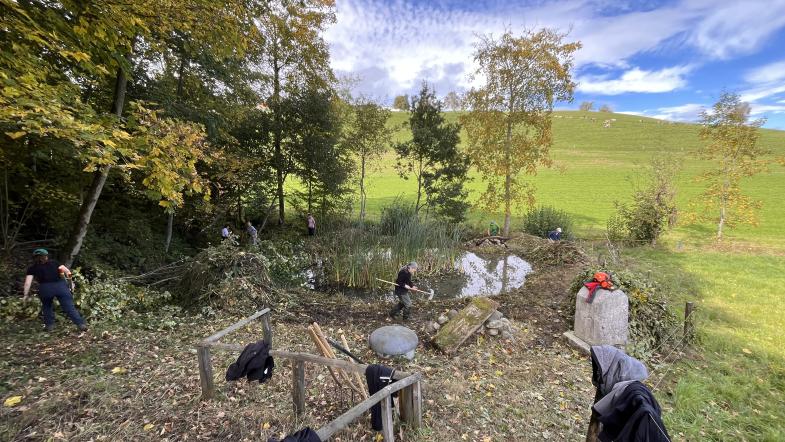 Naturschutzarbeit am Weiher