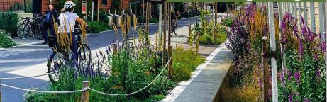 Titelseite des Buchs von Claudia Acklin Grüne Städte