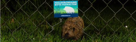 Igel geht durch einem Durchgang. Dieser ist mit einer Plakette markiert. 
