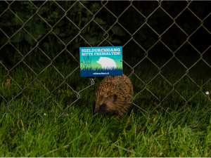 Igel geht durch einem Durchgang. Dieser ist mit einer Plakette markiert. 